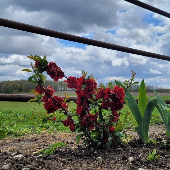 Live NOW PALLET PULLS Like this to be notified when we go live again - Picture 3 of 6